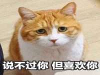 海南久鸿实业有限公司