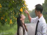 海南久鸿实业有限公司