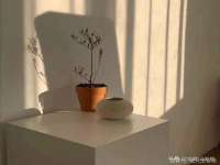 海南久鸿实业有限公司