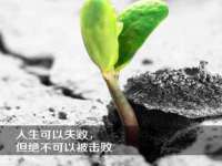 海南久鸿实业有限公司