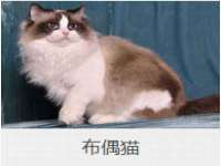 海南久鸿实业有限公司