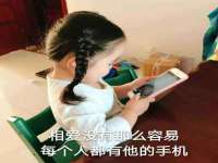 海南久鸿实业有限公司