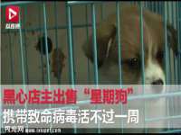 海南久鸿实业有限公司