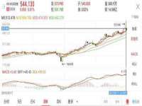 海南久鸿实业有限公司