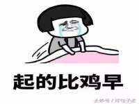海南久鸿实业有限公司