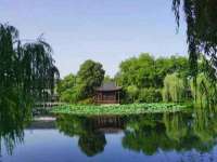 海南久鸿实业有限公司