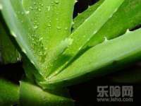 海南久鸿实业有限公司