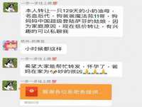 海南久鸿实业有限公司