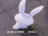 海南久鸿实业有限公司