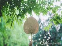 海南久鸿实业有限公司