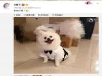 海南久鸿实业有限公司
