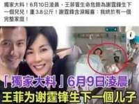 海南久鸿实业有限公司
