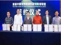 海南久鸿实业有限公司