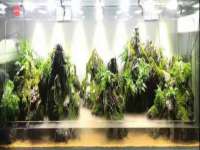 海南久鸿实业有限公司