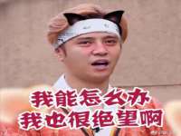 海南久鸿实业有限公司