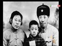 海南久鸿实业有限公司