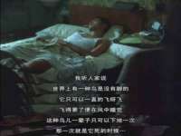 海南久鸿实业有限公司