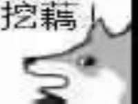 海南久鸿实业有限公司