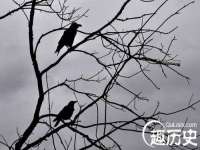 海南久鸿实业有限公司