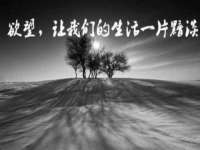 海南久鸿实业有限公司