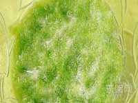 海南久鸿实业有限公司