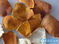 海南久鸿实业有限公司