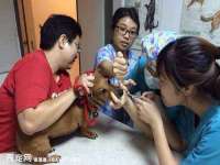 海南久鸿实业有限公司