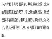 海南久鸿实业有限公司