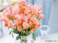 海南久鸿实业有限公司