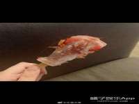 海南久鸿实业有限公司